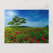 Geweldige wereld briefkaart (Voorkant)