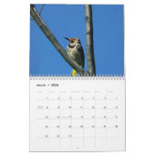 Geweldige wereld van Woodpeckers Twee Pagina-kalen Kalender (Mar 2026)