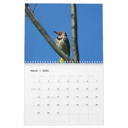 Geweldige wereld van Woodpeckers Twee Pagina-kalen Kalender (Mar 2026)