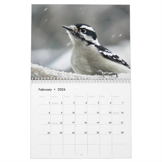 Geweldige wereld van Woodpeckers Twee Pagina-kalen Kalender (Feb 2026)