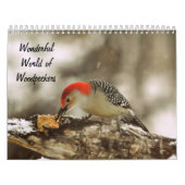 Geweldige wereld van Woodpeckers Twee Pagina-kalen Kalender (Hoes)