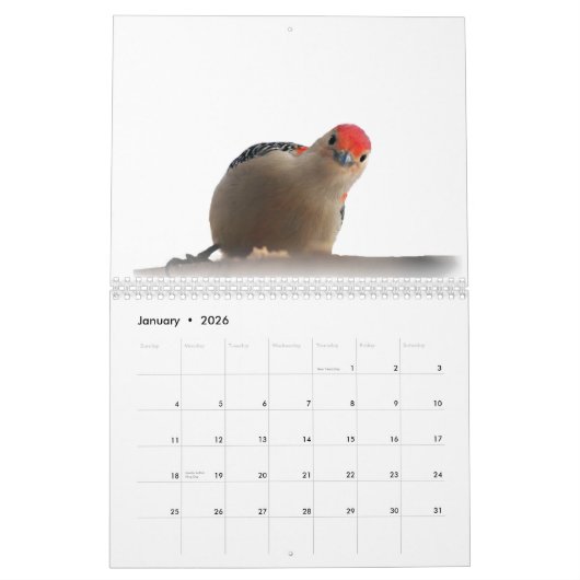 Geweldige wereld van Woodpeckers Twee Pagina-kalen Kalender (Jan 2026)