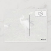 Geweldige White Egret Love Dance Briefkaart (Achterkant)