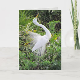 Geweldige White Egret Love Dance Feestdagen Kaart