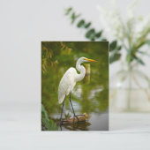 Geweldige witte haron op een logfoto briefkaart (Staand voorkant)