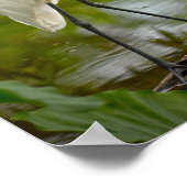 Geweldige witte haron op een logfoto poster (Hoek)