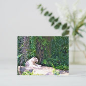 Geweldige witte tijger briefkaart (Staand voorkant)