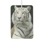 Geweldige witte tijger luchtverfrisser (Voorkant)