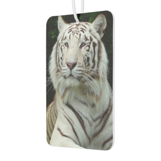 Geweldige witte tijger luchtverfrisser (Links)