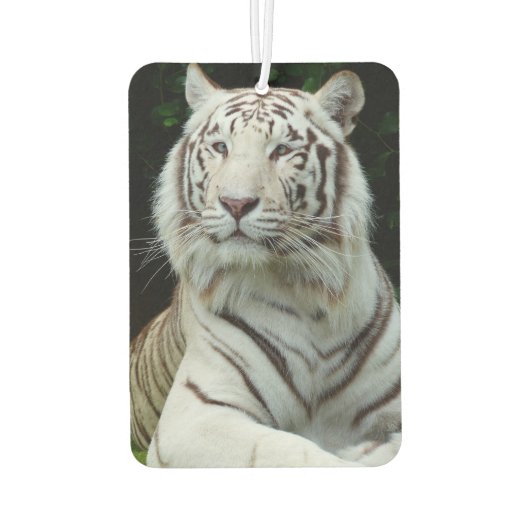 Geweldige witte tijger luchtverfrisser (Achterkant)