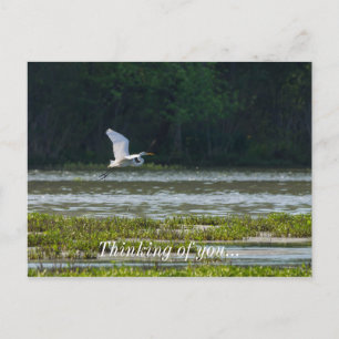 Geweldige witte vlek die denkt aan je Briefkaart