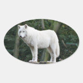 Geweldige witte wolf ovale sticker (Voorkant)
