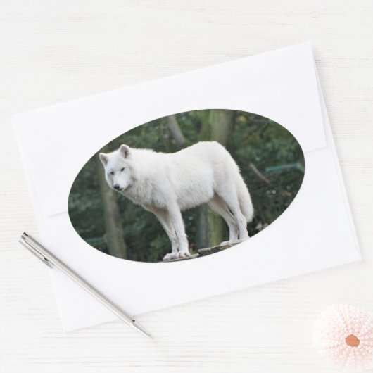Geweldige witte wolf ovale sticker (Envelop)