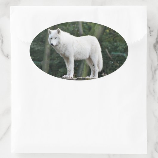 Geweldige witte wolf ovale sticker (Tas)
