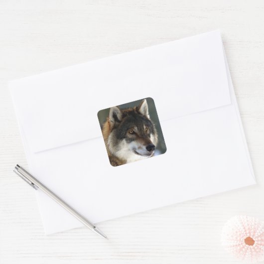 Geweldige Wolf Head Vierkante Sticker (Envelop)