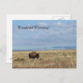 Geweldige Wyoming. Briefkaart (Voorkant / Achterkant)