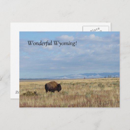 Geweldige Wyoming. Briefkaart (Voorkant / Achterkant)