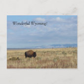 Geweldige Wyoming. Briefkaart (Voorkant)