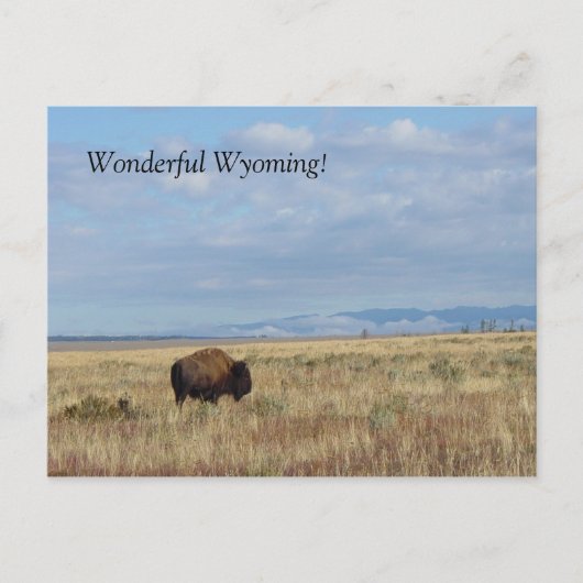 Geweldige Wyoming. Briefkaart (Voorkant)