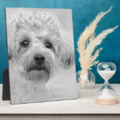 Geweldige Yorkie Poo in Sepia Tones Fotoplaat (Zijkant)