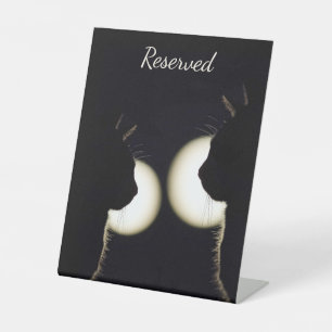 Geweldige Zwarte Kat Inbrekers Op Heterdaad Betrap Reclamebord Met Voetstuk