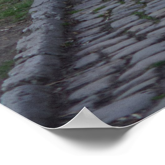 gewelfde kerkdeur poster (Hoek)