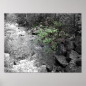 Gewenste van Groen Poster (Voorkant)