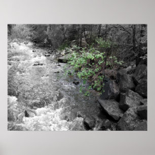 Gewenste van Groen Poster