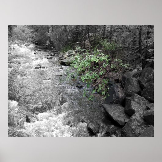 Gewenste van Groen Poster (Voorkant)