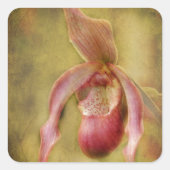 Geweven Dame Slipper Orchid Vierkante Sticker (Voorkant)