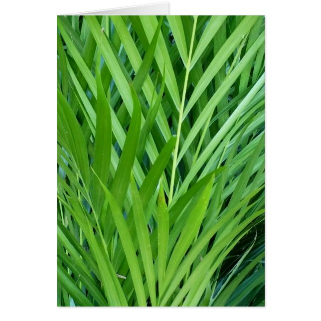 Geweven in groen (Voorkant)