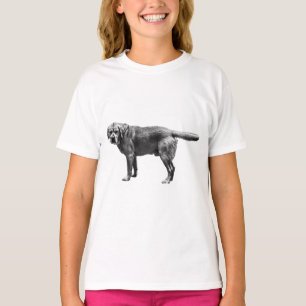 Gewicht van de aanwezigheid t-shirt