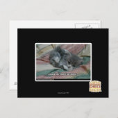 Gewicht van eigen schattigheid briefkaart (Voorkant / Achterkant)