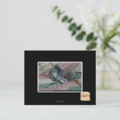 Gewicht van eigen schattigheid briefkaart (Staand voorkant)