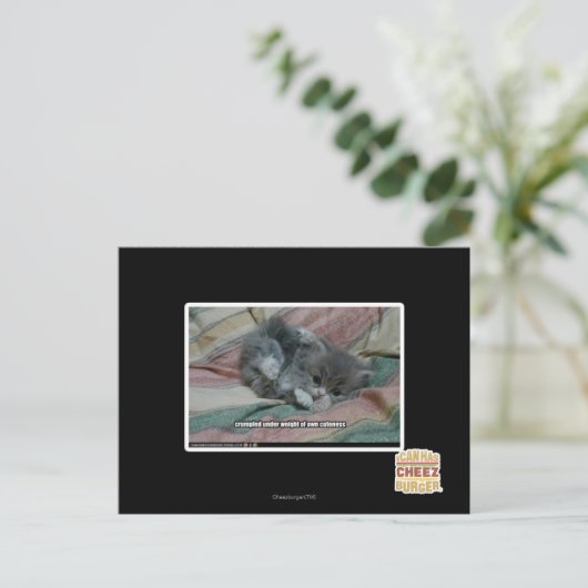 Gewicht van eigen schattigheid briefkaart (Staand voorkant)