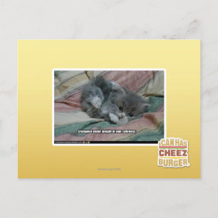 Gewicht van eigen schattigheid briefkaart