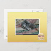 Gewicht van eigen schattigheid briefkaart (Voorkant / Achterkant)