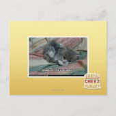 Gewicht van eigen schattigheid briefkaart (Voorkant)