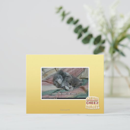 Gewicht van eigen schattigheid briefkaart (Staand voorkant)