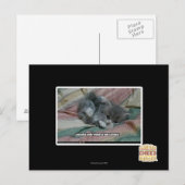 Gewicht van eigen schattigheid briefkaart (Voorkant / Achterkant)