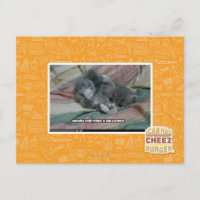 Gewicht van eigen schattigheid