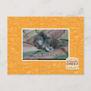 Gewicht van eigen schattigheid briefkaart