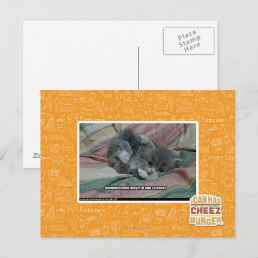 Gewicht van eigen schattigheid briefkaart (Voorkant / Achterkant)