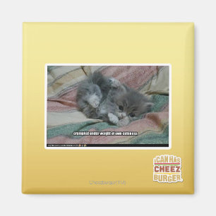 Gewicht van eigen schattigheid magneet