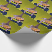 gewichten voor slechthorenden cadeaupapier (Hoek)