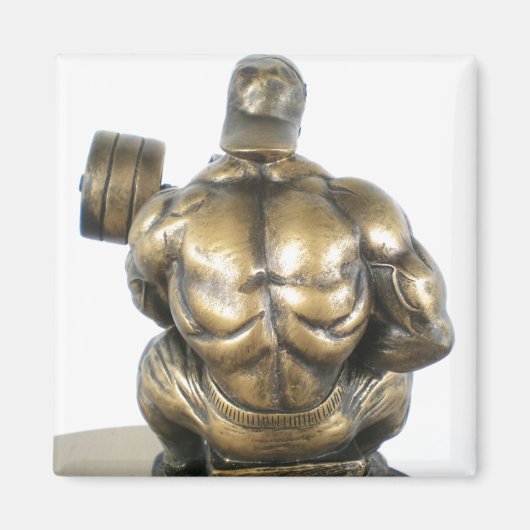 Gewichtstoename Magneet (Voorkant)