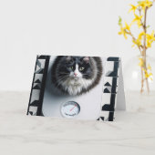 Gewichtsverlies Humor Cat op een weegschaal Kaart (Gele Bloem)