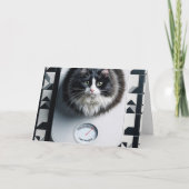 Gewichtsverlies Humor Cat op een weegschaal Kaart (Voorkant)