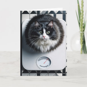 Gewichtsverlies Humor Kat Op Een Weegschaal Kaart