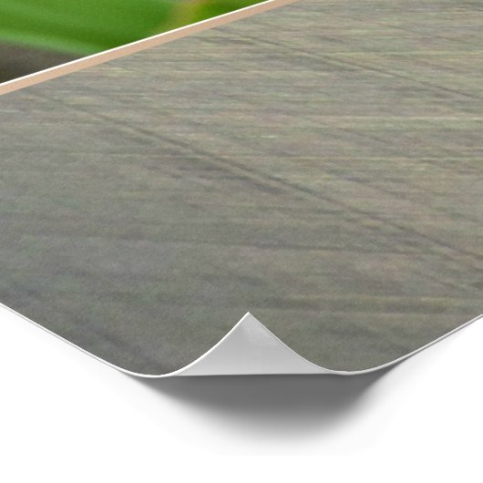 Gewichtsverlies Poster Tip #0110 (Hoek)